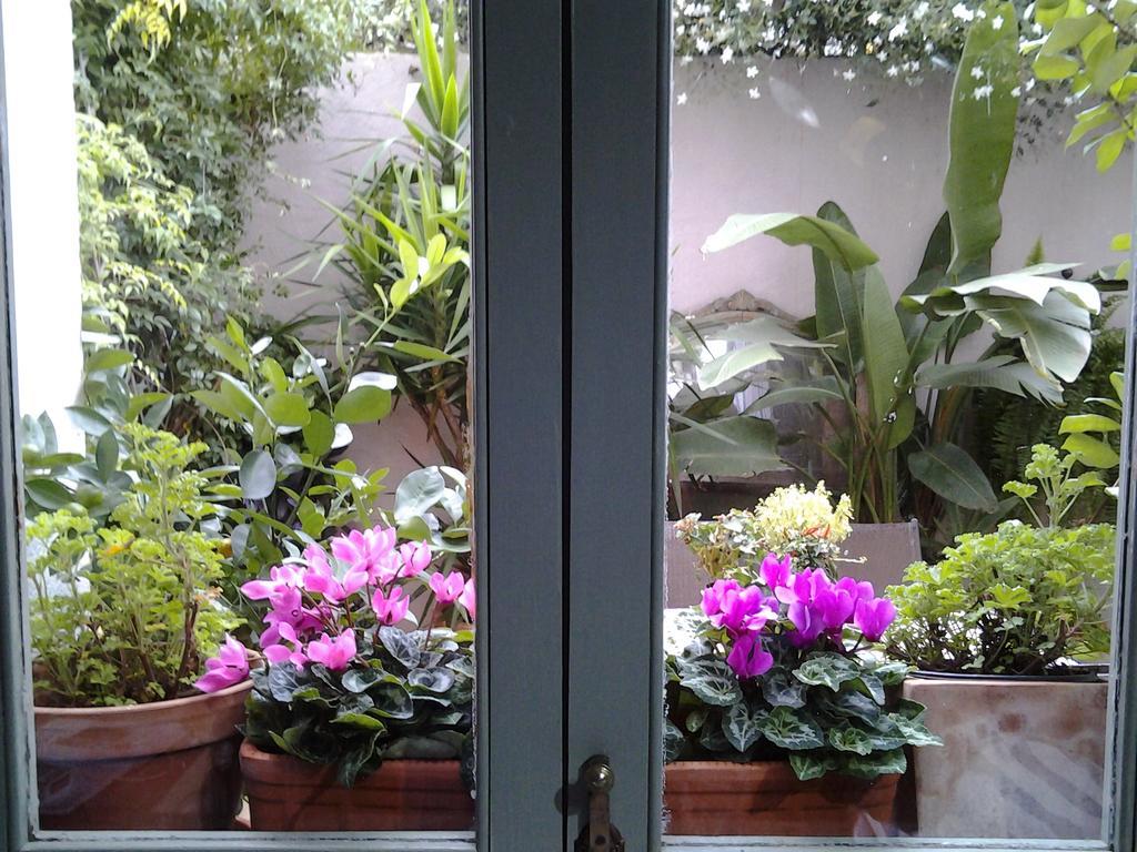 Casa Les Olives - Adults Only Guest House Benigembla ภายนอก รูปภาพ